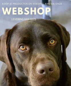 webshop_België_hond
